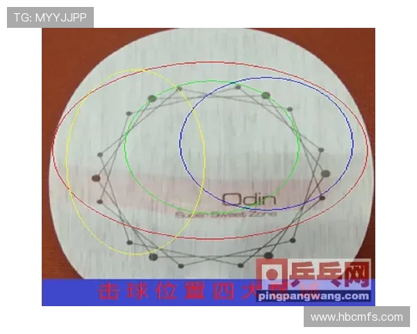 武汉乒乓球队员个人能力深度对比与分析探讨 武汉乒乓球队员个人能力深度对比与分析探讨