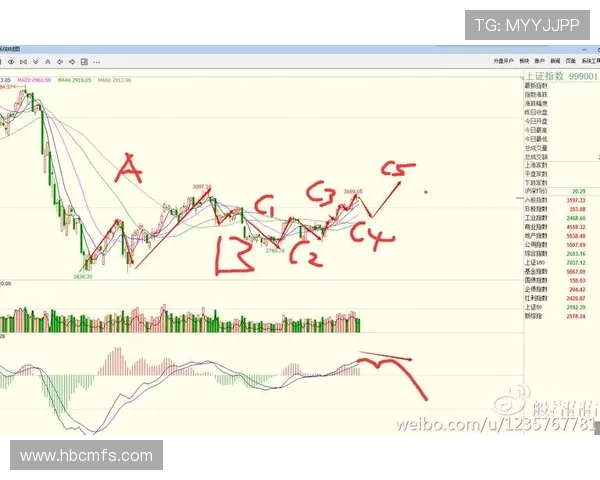 南京排球队防守策略解析与实战表现全面分析 南京排球队防守策略解析与实战表现全面分析