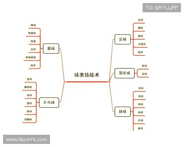 武汉排球队挑战赛战术解析与表现评估全面分析 武汉排球队挑战赛战术解析与表现评估全面分析