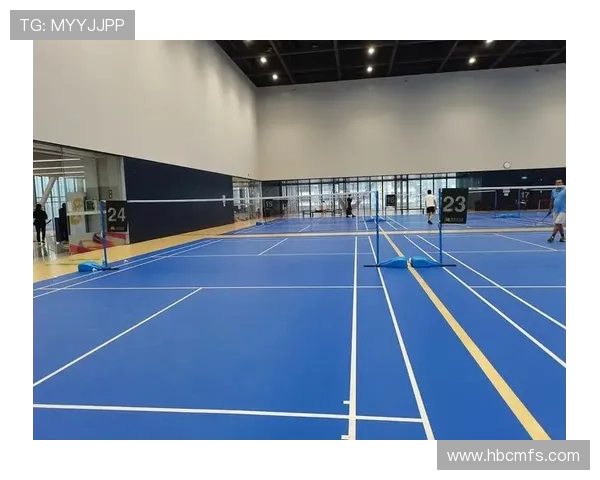 深圳羽毛球队的崛起之路与辉煌成就探秘