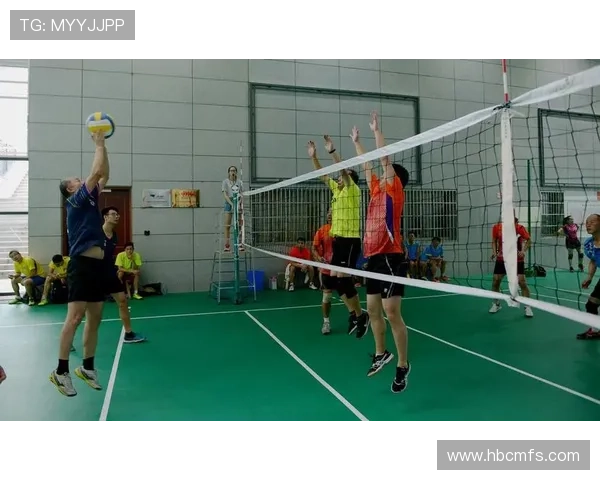 成都排球队的节奏革新探索与实践引领新风潮